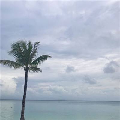高热游戏绝世武尊下载